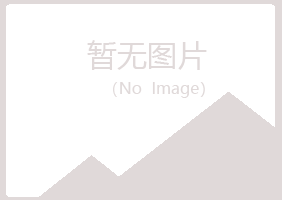 河池女孩咨询有限公司